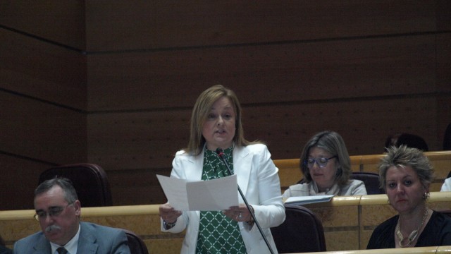 Mª Eugenia Iparragirre