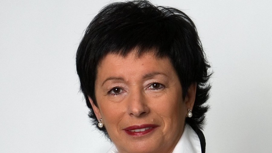 Oñatiko EAJk San Martingo etxebizitzen plan partzialaren aldaketari alegazioa aurkeztu dio 