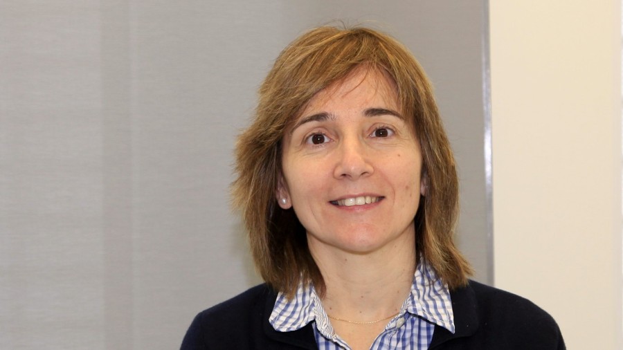 Astigarragako EAJk eskaera egin dio alkateari .eus domeinua jar dezan