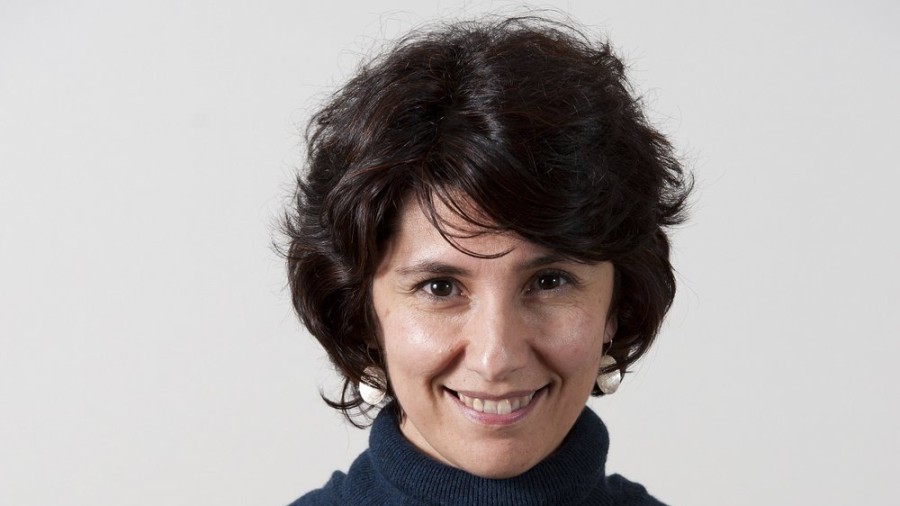 Ulertezina da Ezker Abertzaleak aireportuen transferentzia-prozesua EAEra ekartzeko eskariaren aurka egitea PSE-EE eta PPrekin batera