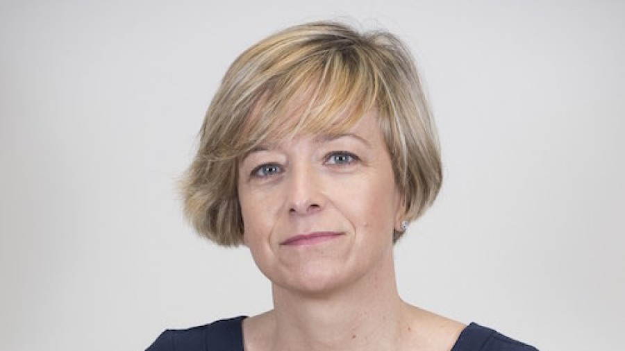 EAJ-PNV asegura que la paralización de Deskarga es la demostración del gran fracaso de una Izquierda Abertzale incapaz de gestionar el futuro de Gipuzkoa