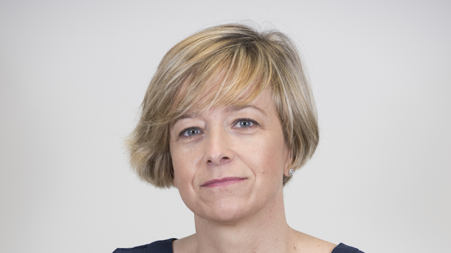 Sortu busca de manera enloquecida algo y no ha encontrado nada