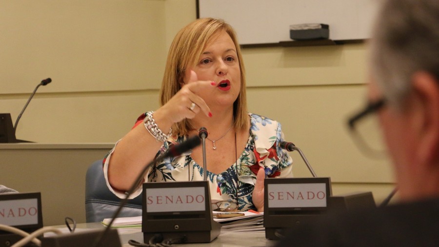 A iniciativa de EAJ-PNV, el Senado reclama al Gobierno central que garantice la información de sus derechos a quienes sufren cancelaciones de vuelos