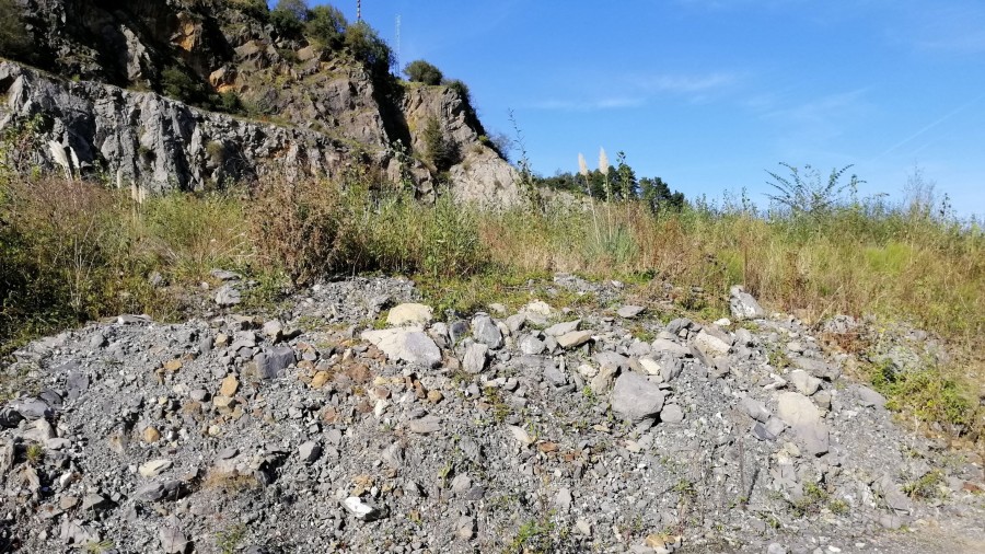 ¿Por qué EH Bildu no actúa contra los responsables de que el relleno de la cantera no cumpla la ley? ¿Por qué EH Bildu no actúa contra los responsables de que el relleno de la cantera no cumpla la ley?