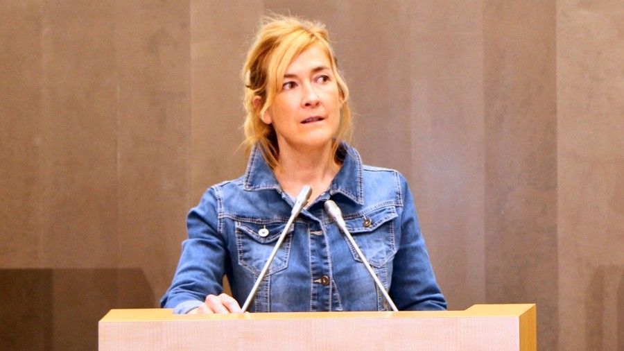 EAJk baztertu egin du Alderdi Popularraren Ekarpenen Legearen inguruko proposamena, Euskadirentzat kaltegarria den EAJk baztertu egin du Alderdi Popularraren Ekarpenen Legearen inguruko proposamena, Euskadirentzat kaltegarria den